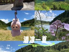 -武陵山森林公园