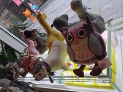 -卓花境Flowerwonderland花店