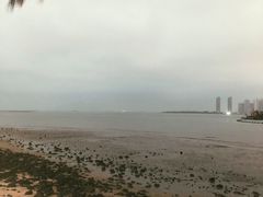 -万绿园