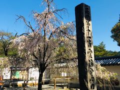 -醍醐寺