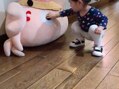 -伊豆泰迪熊博物馆
