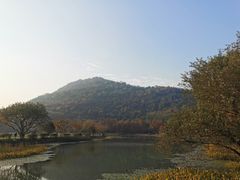 -八卦田遗址公园