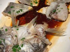 -顺福苑·新派淮扬菜