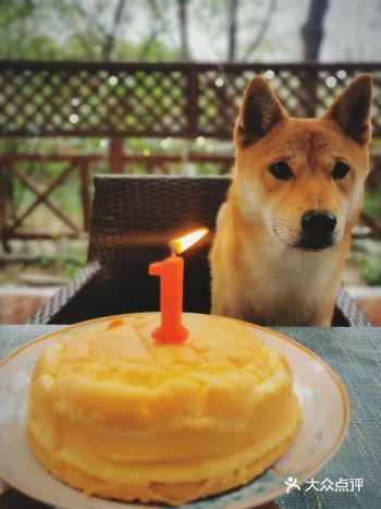 爱好:喜欢被“妈妈”和“姐姐”四处溜达