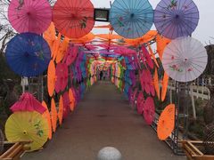 -武汉紫薇都市田园