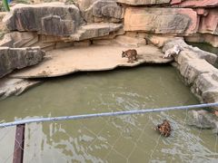 -无锡动物园·太湖欢乐园