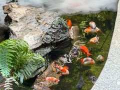 -佛有缘素食馆·荔湾老字号(陈家祠首店)