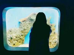 -泉城欧乐堡海洋极地世界