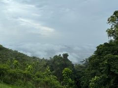 -黄埔油麻山森林公园