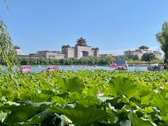 -莲花池公园