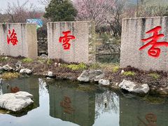-香雪海