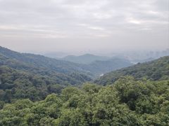 -点都德(广州白云山景区南门店)