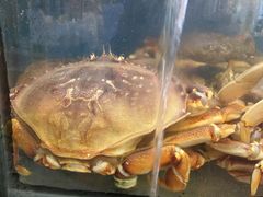 -渔中舟海鲜大排档(普陀沈家门店)