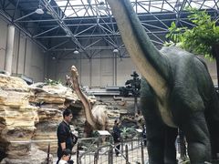 -国家自然博物馆