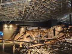 -世界恐龙谷景区