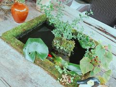-亦缘居私家别院