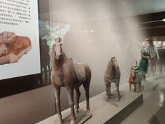 -西安大唐西市博物馆