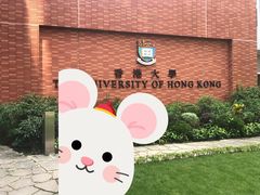 -香港大学
