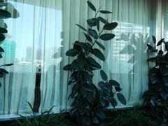 -塞外楼外楼(南湖店)
