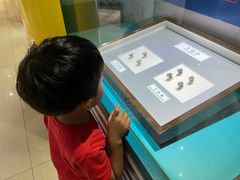 -上海昆虫博物馆