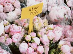 -循礼门鲜花花市(武汉循礼门店)