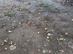 -东北师范大学(净月大街校区)