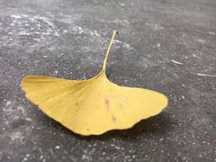 -金堂县云顶石城风景区