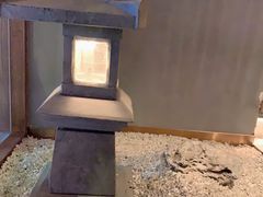 -春熙台韩国料理·章鱼肥牛(西丽店)