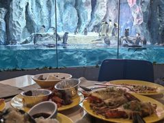 -帝企鹅自助餐厅•儿童岛•真企鹅(长隆企鹅酒店)