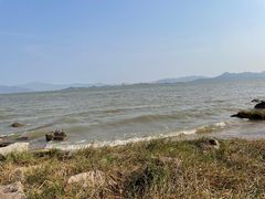 -深圳湾公园(南山区)