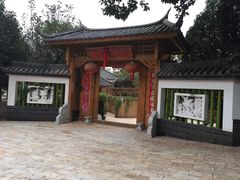 -山大王菌莊