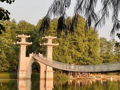-东湖落雁景区