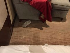 -锦龙国际酒店(天津奥体中心华苑地铁站店)