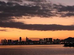 -红树湾(地铁站)