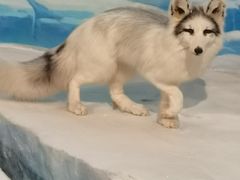 -陕西自然博物馆