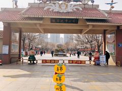 -张店儿童公园