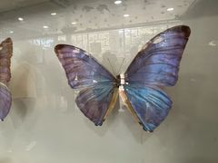 -上海大自然野生昆虫馆(东方明珠·爬宠昆虫探索中心)