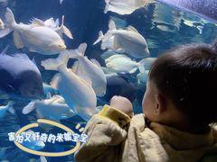 -多彩贵州城极地海洋世界