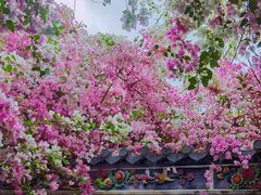 -深圳国际园林花卉博览园