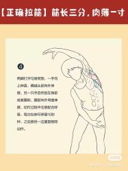 -香薇妮丝女子减肥院