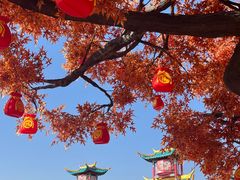 -中华郡文化旅游景区