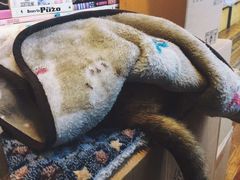 -猫的天空之城概念书店(杭州南宋御街店)