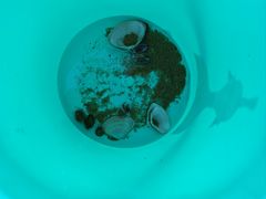 -日照海滨国家森林公园