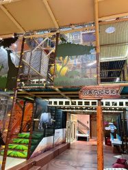 -卡通尼·Safari非洲探索乐园·生日会(金桥国际商业广场店)