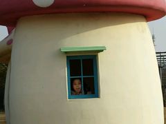 -上海都市菜园