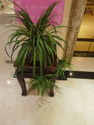 -北京俪婴妇产医院(朝阳大悦城店)