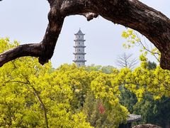 -江心屿景区