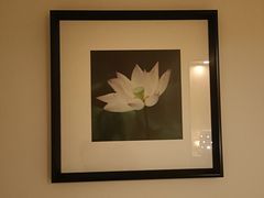 -东方大班·足道·采耳·疗愈SPA(丽都店)