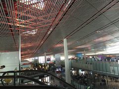 -稻香村(首都国际机场3号航站楼店)