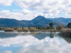-三垟湿地